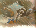 /album/les-saisons/paybl908-jpg/